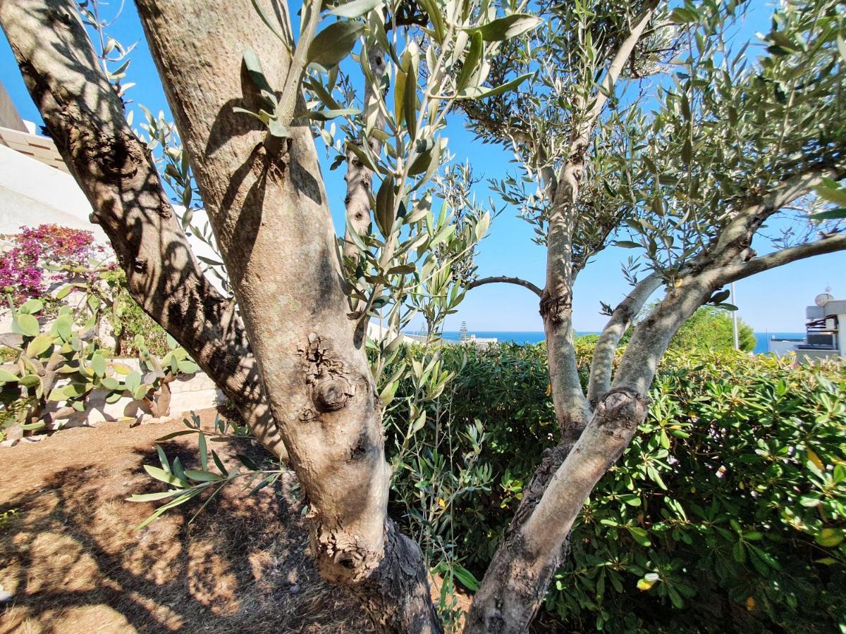 סנטה צזריה טרמה Villa Maria מראה חיצוני תמונה